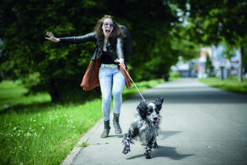 Il cane non mi ascolta? Ecco come fare