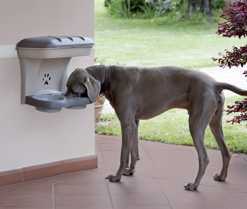 Foodstand, la ciotola rialzata che fa mantenere la postura corretta al cane