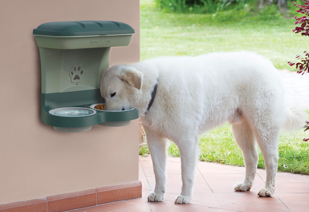 Foodstand, la ciotola rialzata che fa mantenere la postura corretta al cane