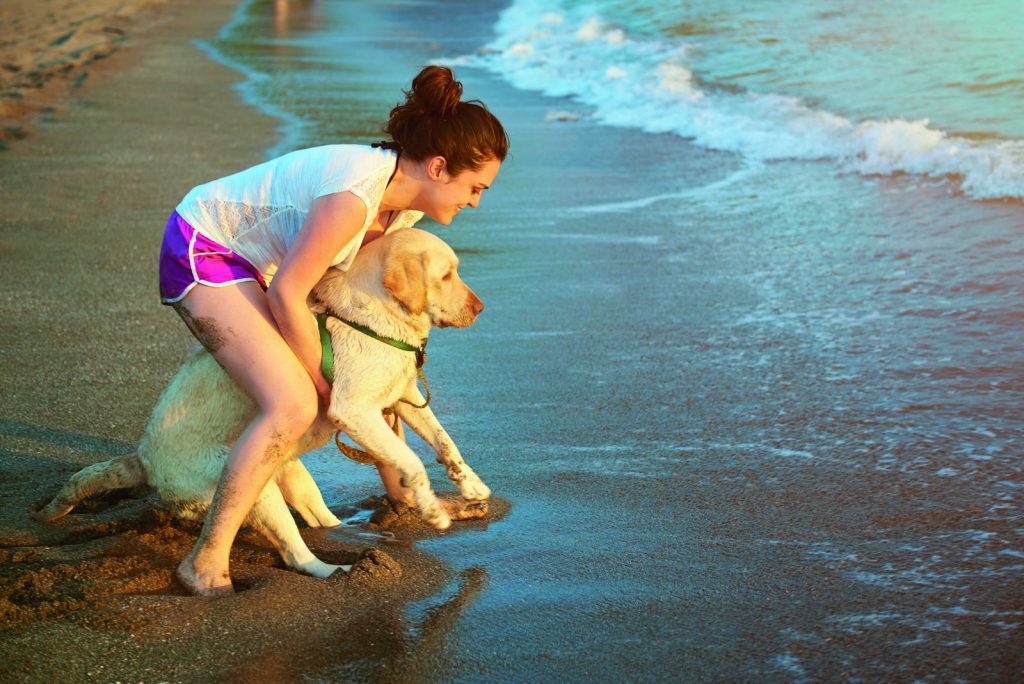 Cosa fare se il cane ha paura