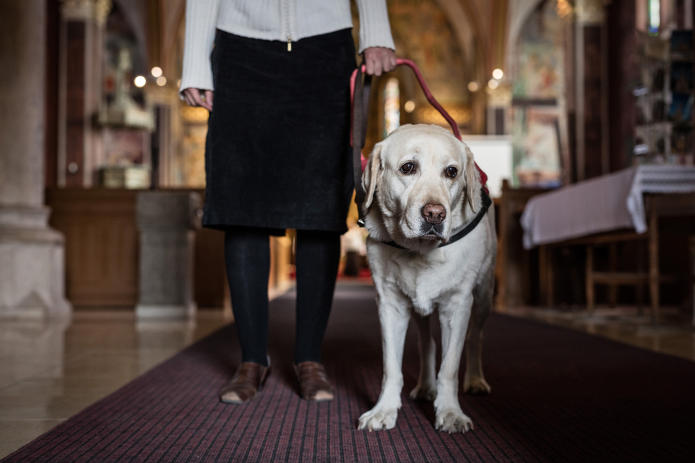 Cane guida allontanato dalla chiesa: "Disturba la funzione"