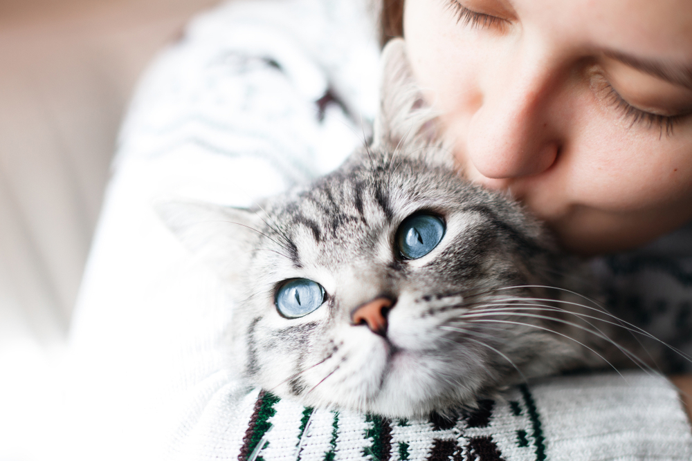 Roxy, la gatta che ha ritrovato la sua padrona dopo cinque anni