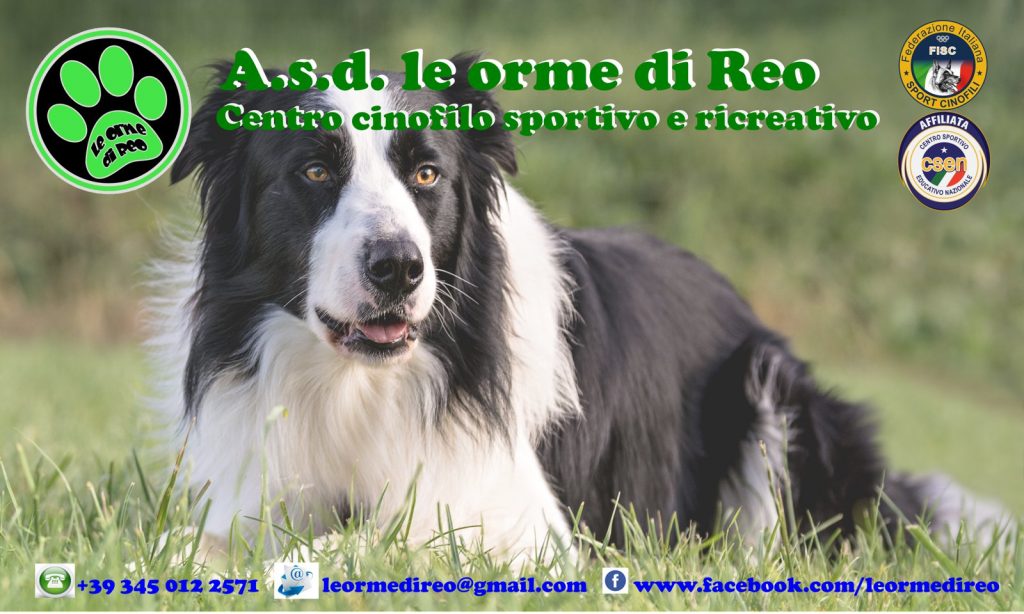 Tutti al centro di agility dog "Le Orme di Reo"