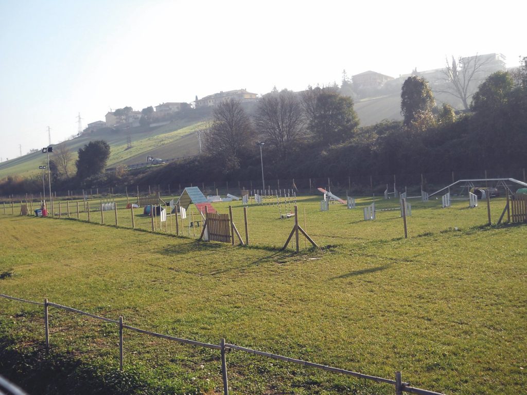 Tutti al centro di agility dog "Le Orme di Reo"