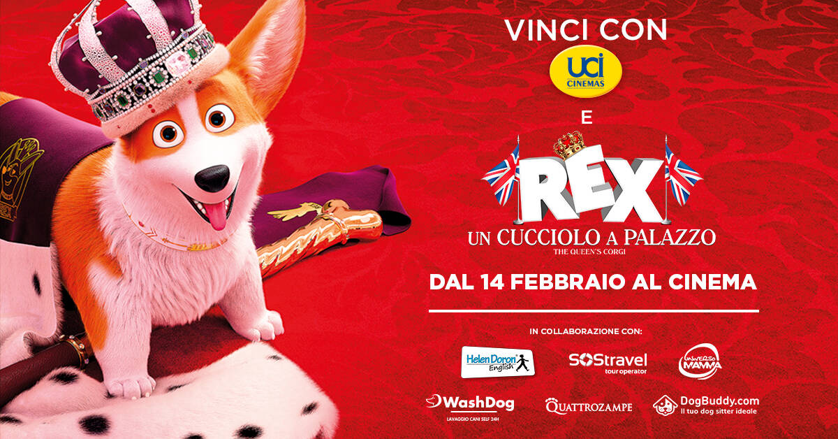 Cani e film d'animazione: ecco Rex, un cucciolo a palazzo