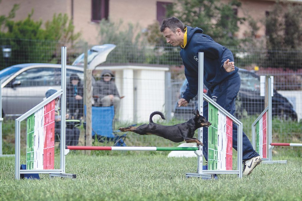 Tutti al centro di agility dog "Le Orme di Reo"