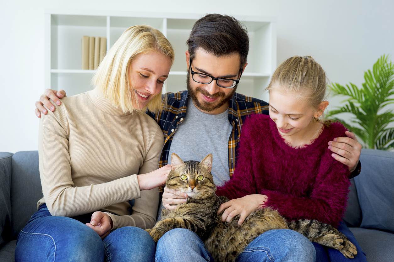 L'Eurispes lo conferma: in Italia gli animali sono di famiglia