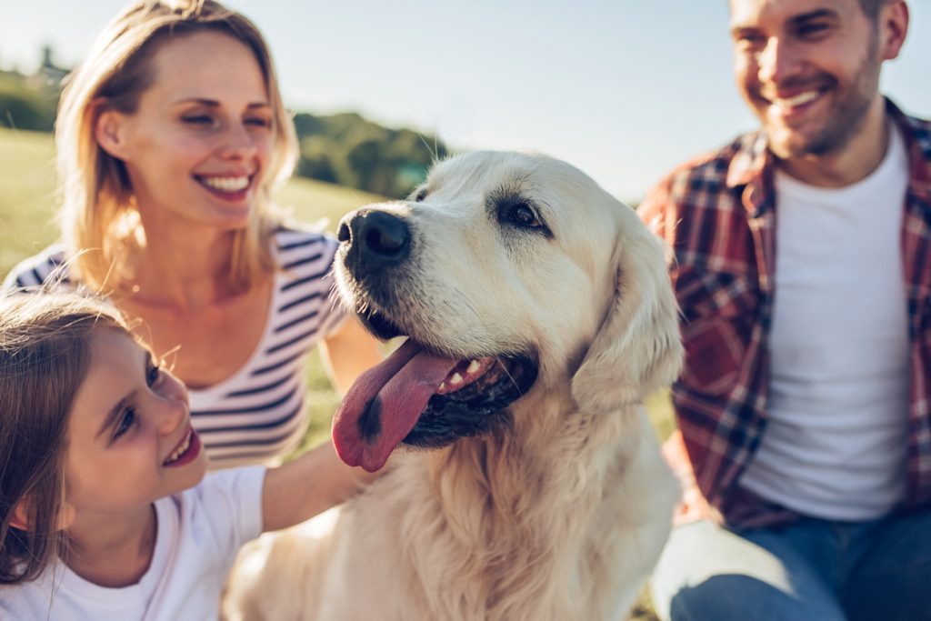 L'Eurispes lo conferma: in Italia gli animali sono di famiglia