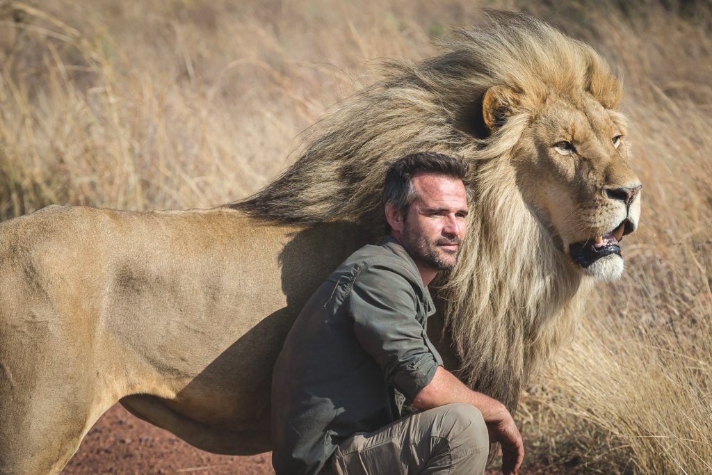 Mia e il leone bianco, il film