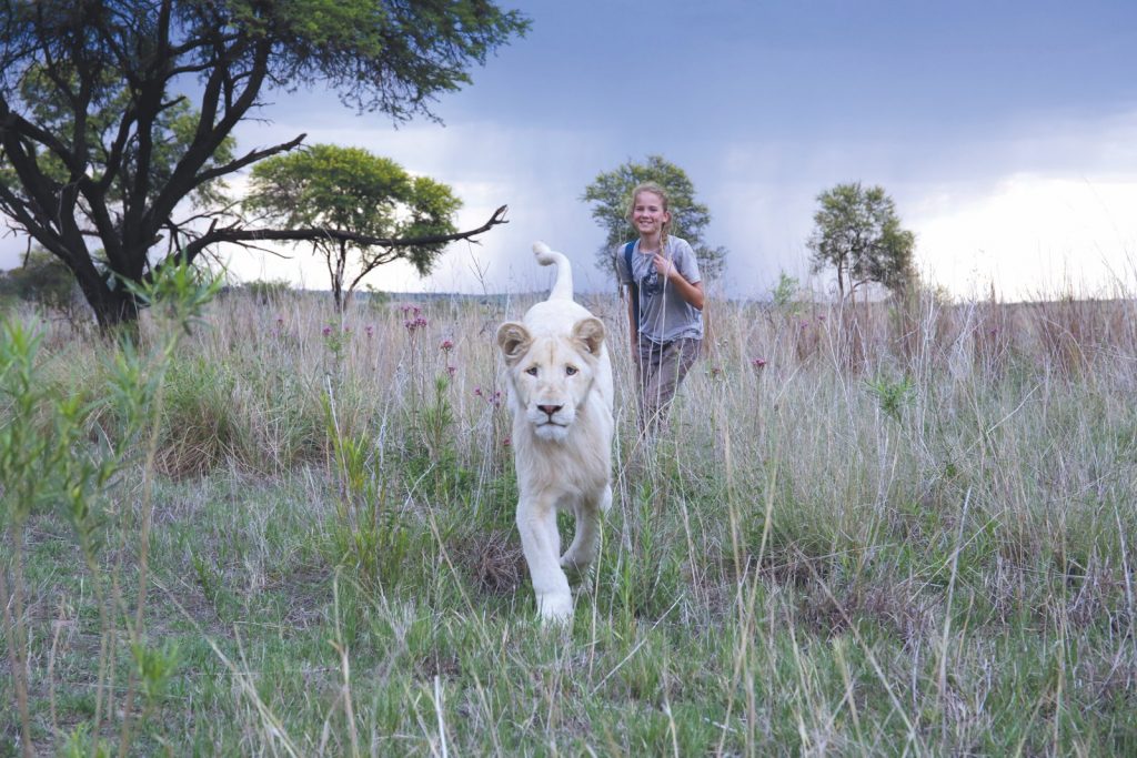 Mia e il leone bianco, il film