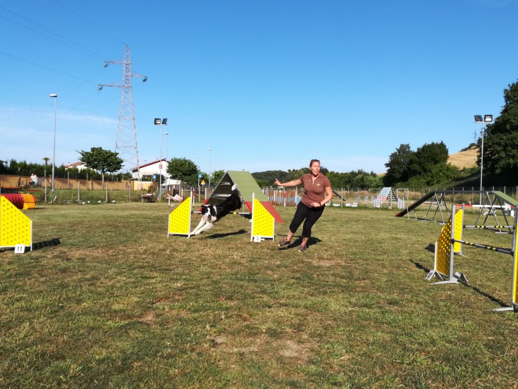 Tutti al centro di agility dog "Le Orme di Reo"