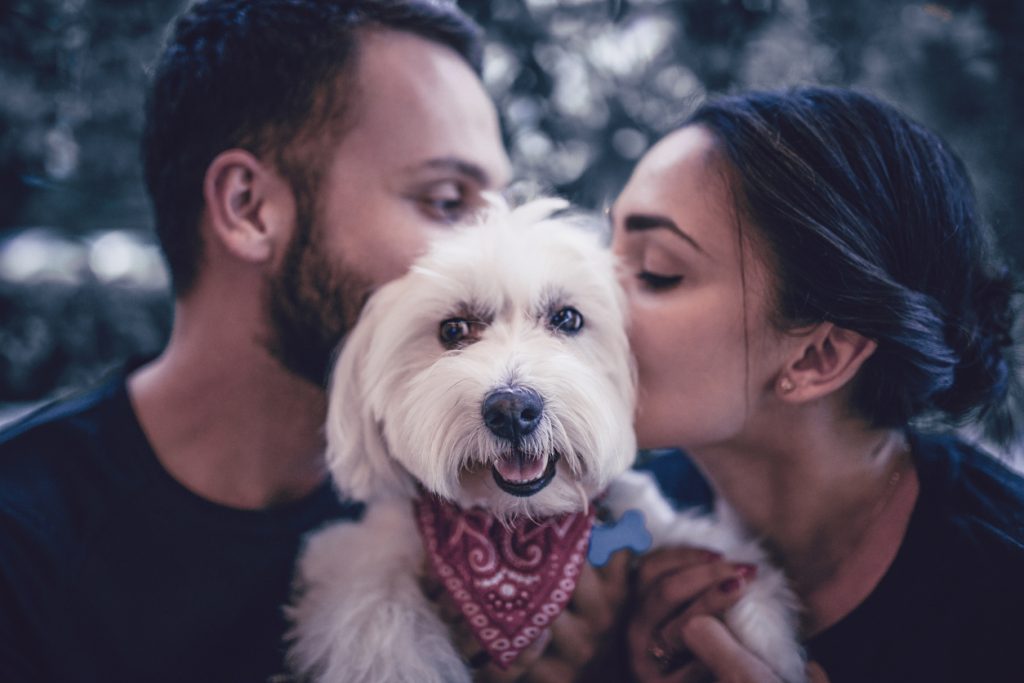 San Valentino, pet come Cupido per cercare il vero amore