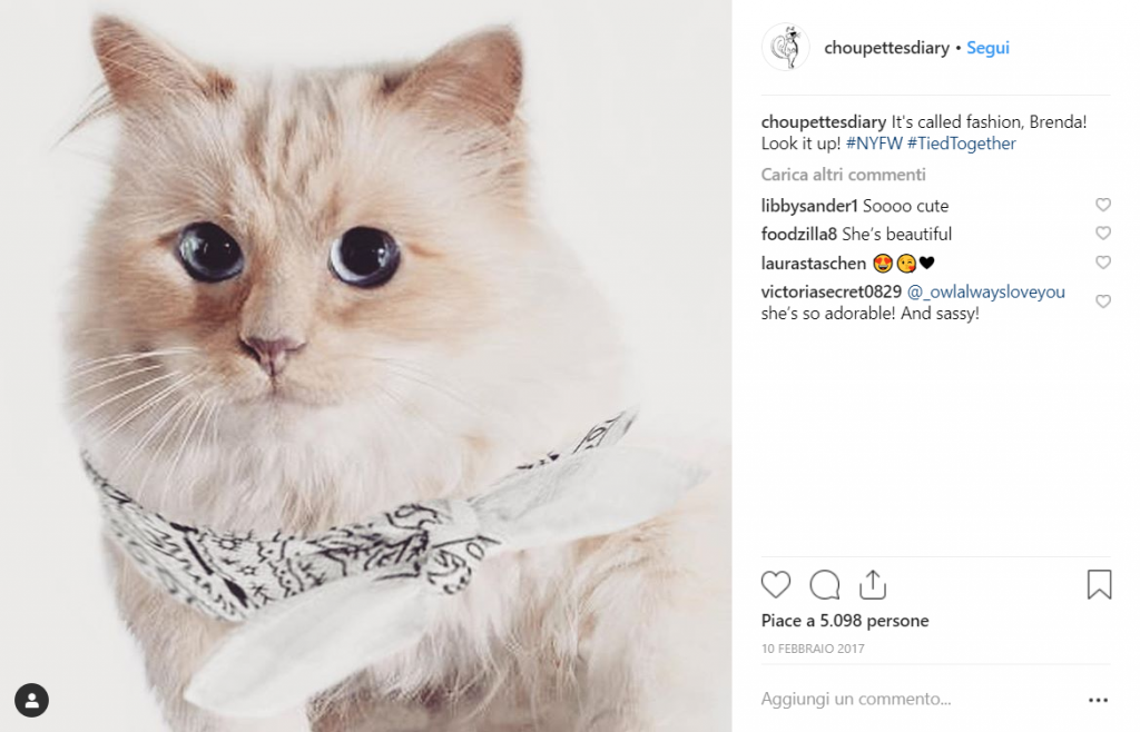 Addio a Karl Lagerfeld, la sua erede è la gatta Choupette