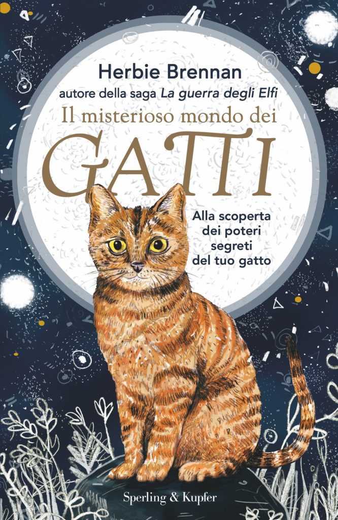 Il misterioso mondo dei gatti