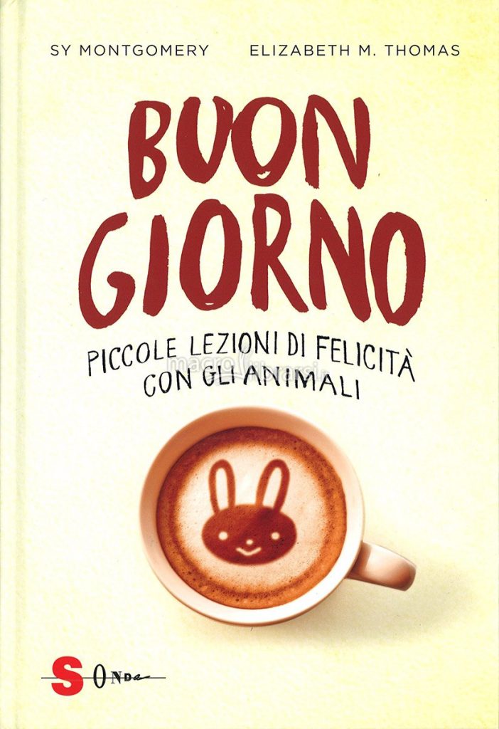 Buon giorno