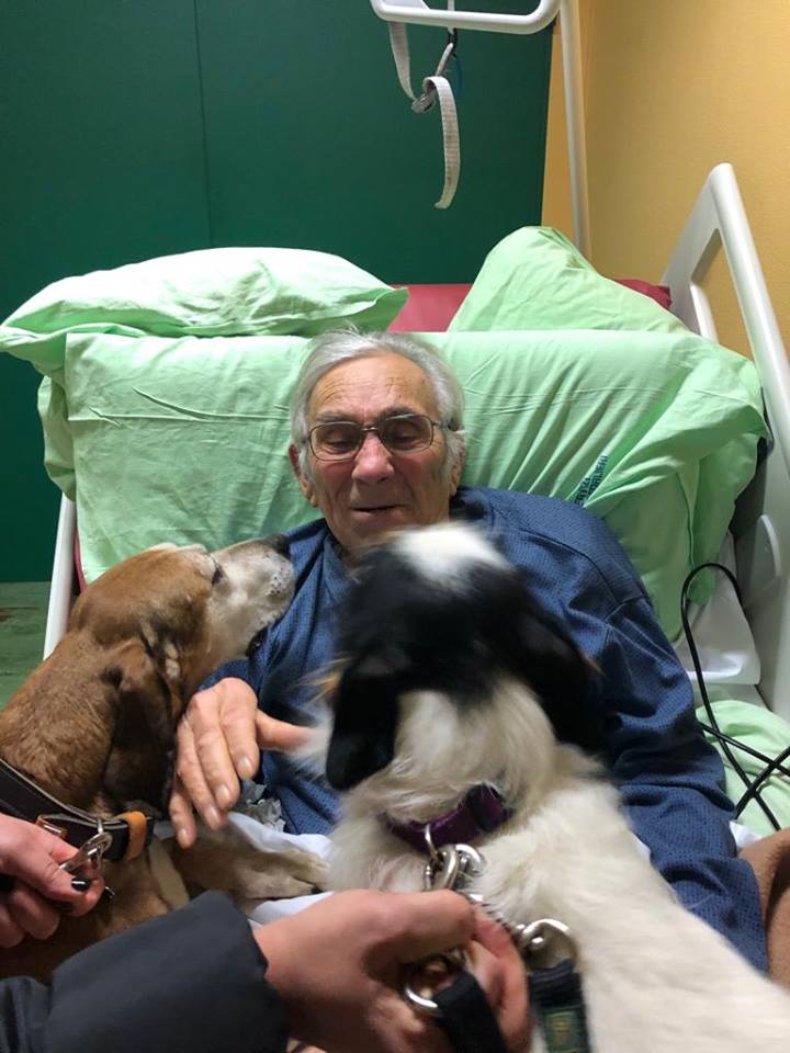 Elvio vuole dire addio ai suoi cani, l'ospedale li fa entrare