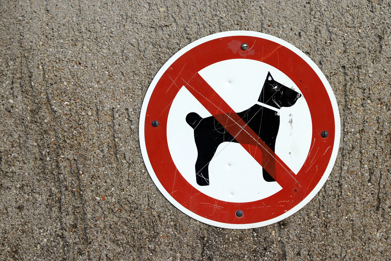 L'Iran dichiara guerra ai cani: vietato farli uscire di casa