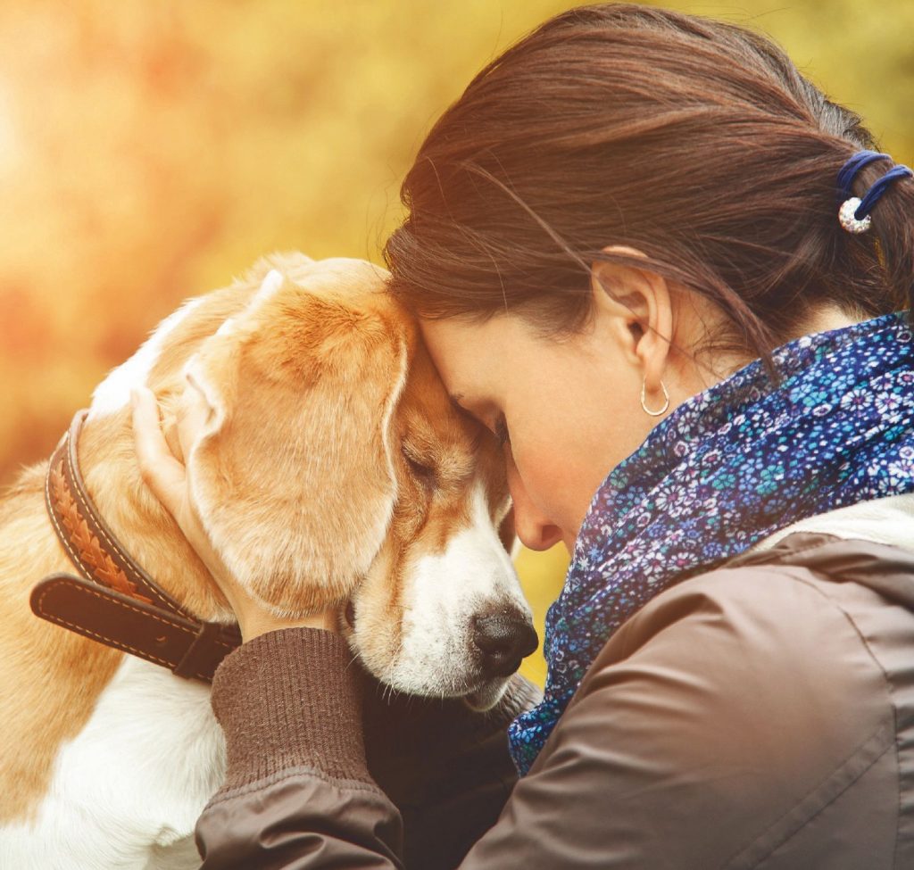 L’importanza delle emozioni del cane