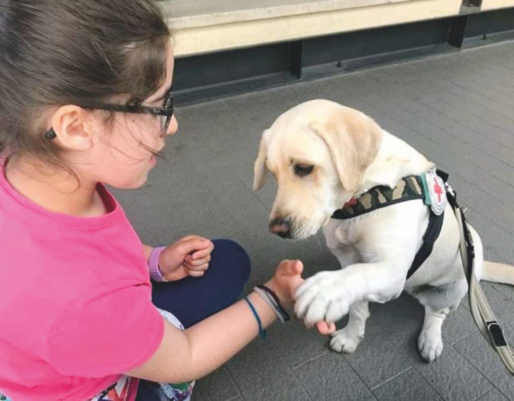 Carlo e Lulù, la cagnolina che ha imparato il linguaggio dei segni