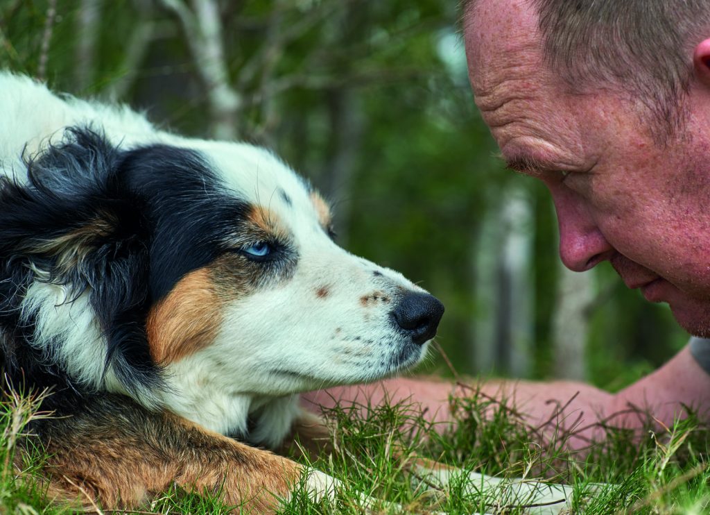 Ecco i comportamenti umani che non piacciono al cane