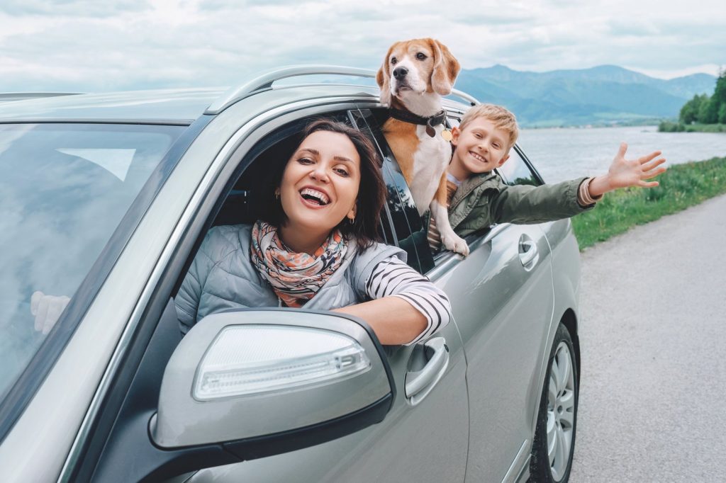 A spasso con Fido in auto