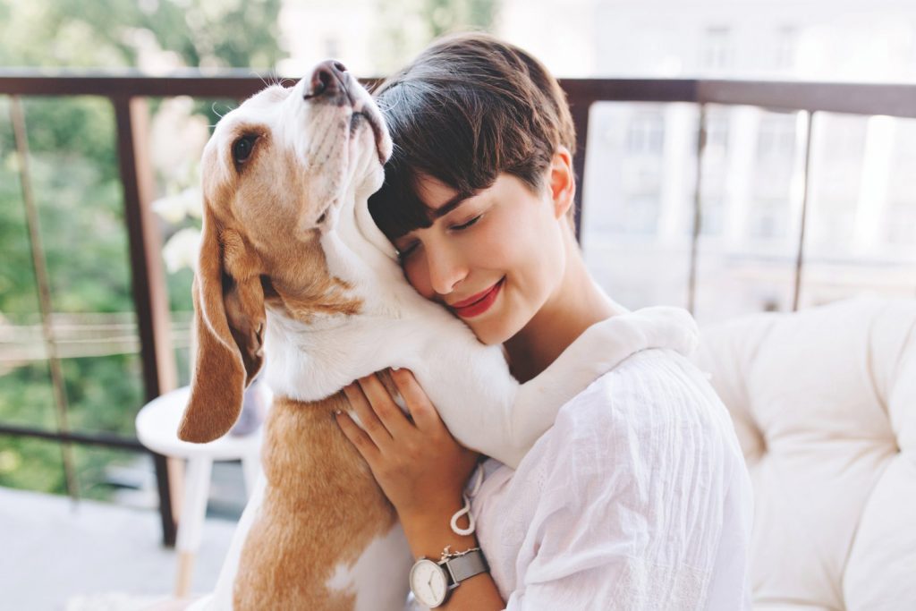 Ecco i comportamenti umani che non piacciono al cane