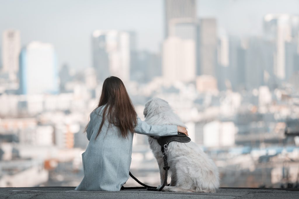 Vivere col cane in città, Urban Dogs spiega come si fa