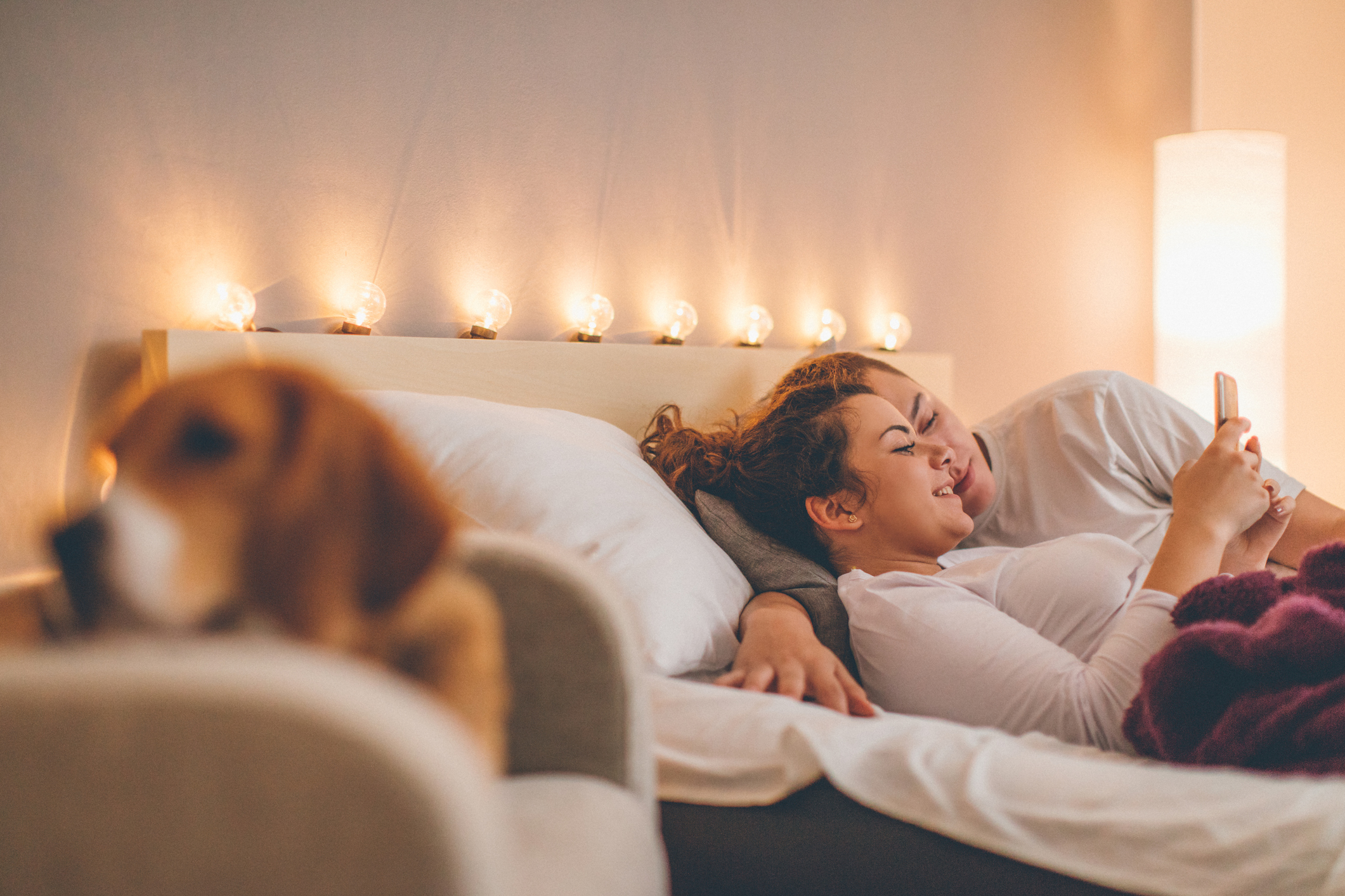 Signora Si Fa Scopare Dal Cane / Il Cane Di Casa Lo Lecca ...