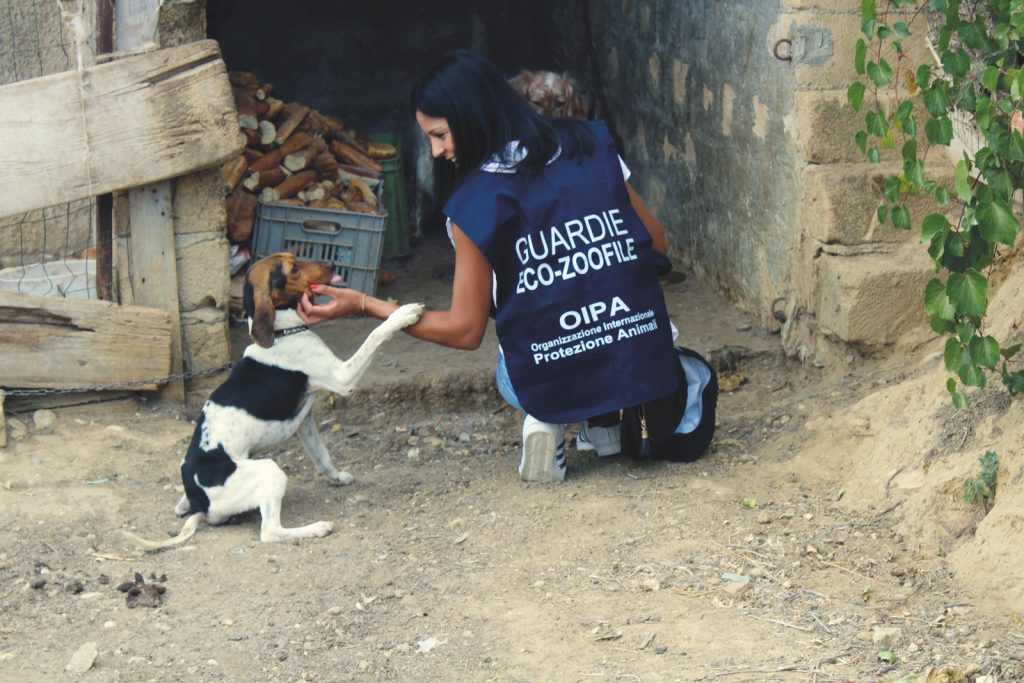 Condanna per il Canile lager di Agrigento