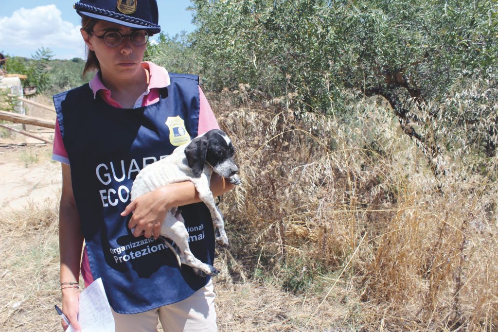 Condanna per il Canile lager di Agrigento