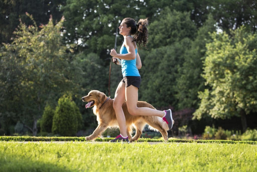 Dog Run, la corsa a sei zampe che conquisterà Milano