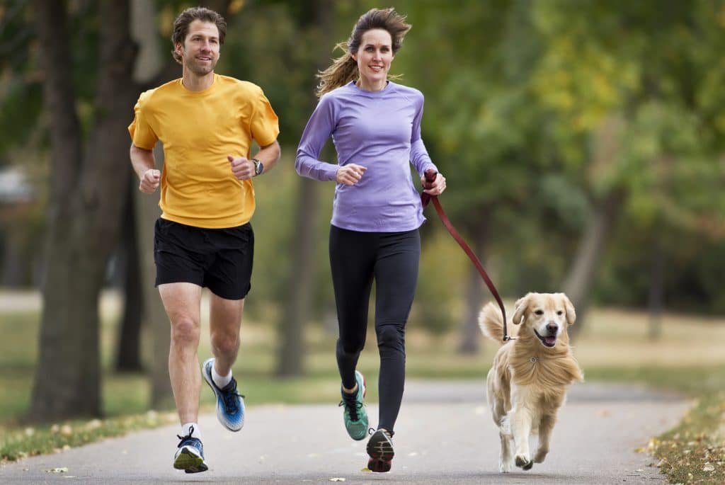 Dog Run, la corsa a sei zampe che conquisterà Milano