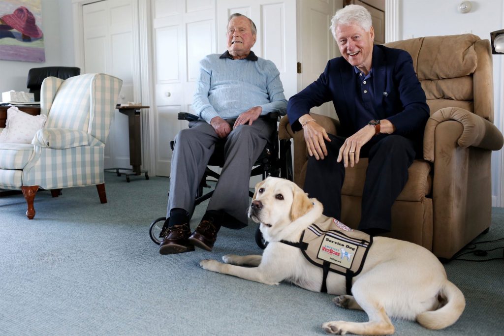 Sully, l'ex cane di Bush aiuterà i veterani di guerra