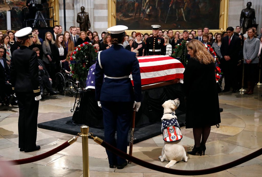 Sully, l'ex cane di Bush aiuterà i veterani di guerra