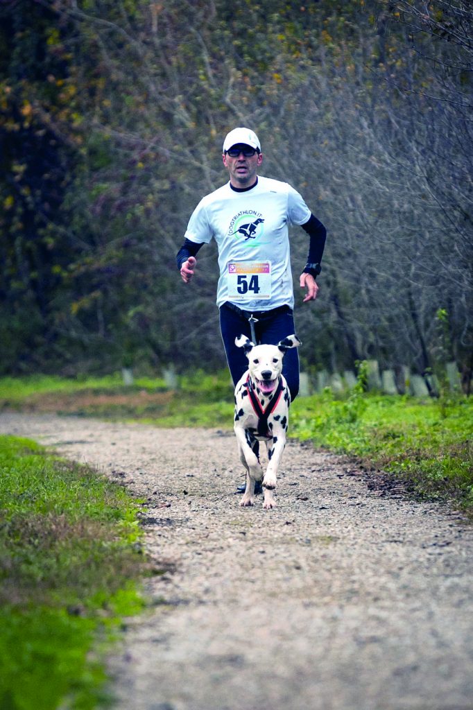 Dog Triathlon: nuotare, pedalare e correre col cane