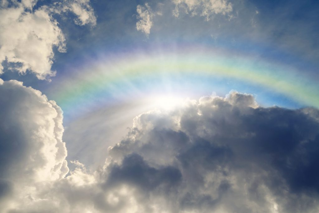 Alessandria, un ponte dell'arcobaleno nel cimitero degli animali