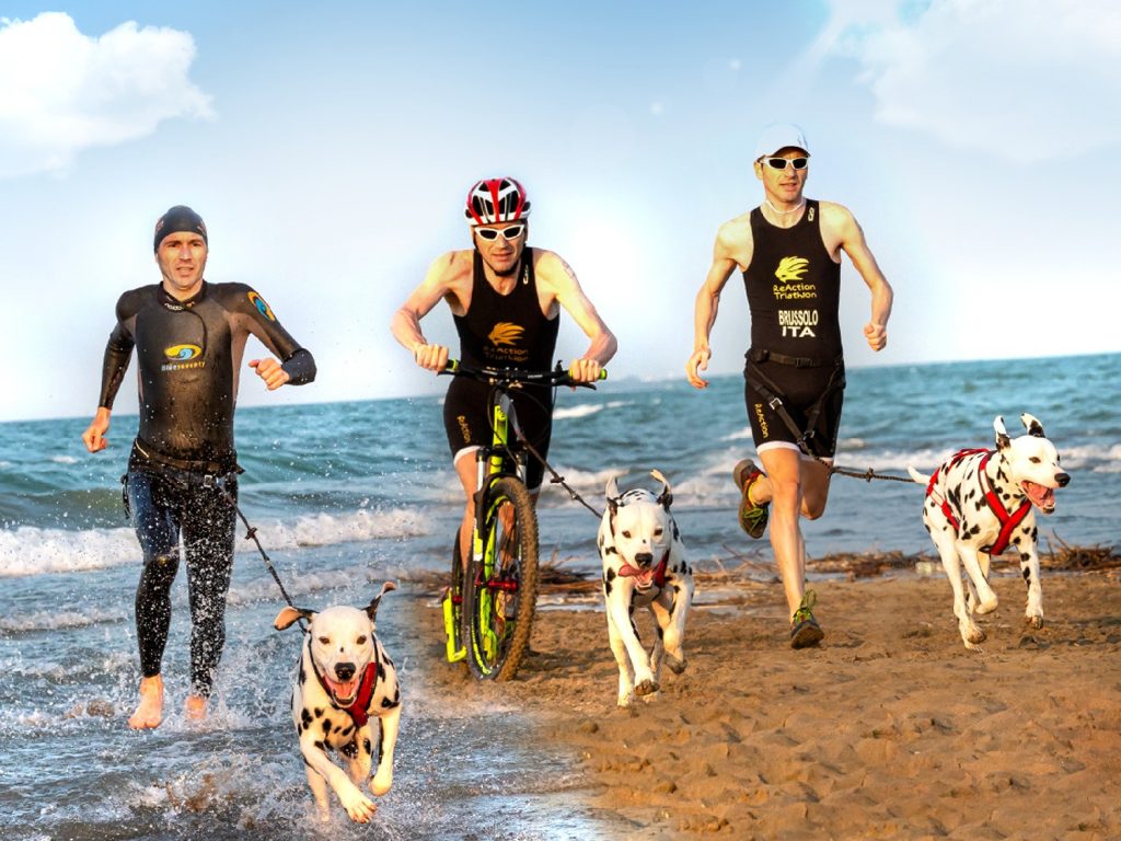 Dog Triathlon: nuotare, pedalare e correre col cane