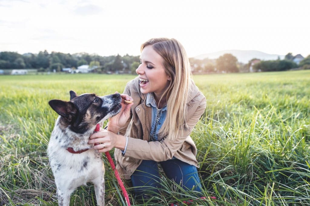 Come far guarire il tuo cane da ansie e paure