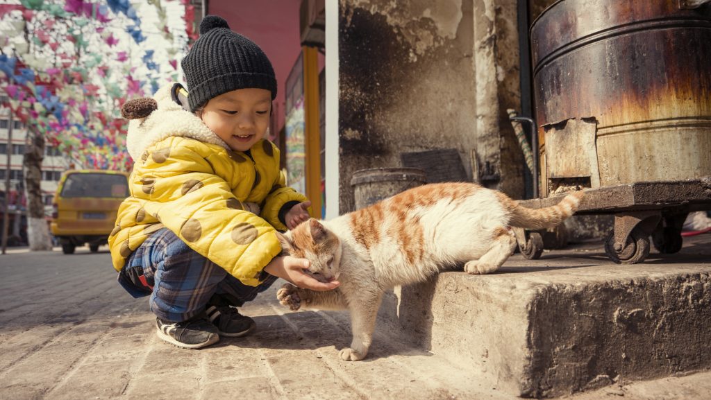 Giornata dell’adozione, la Cina dà l’esempio