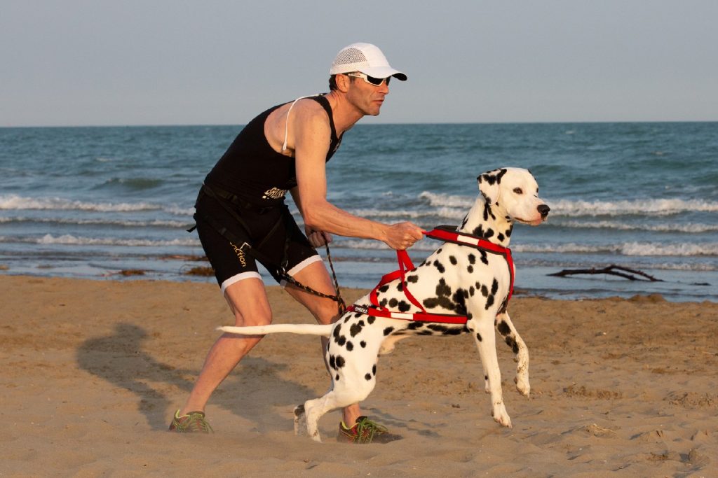 Dog Triathlon: nuotare, pedalare e correre col cane