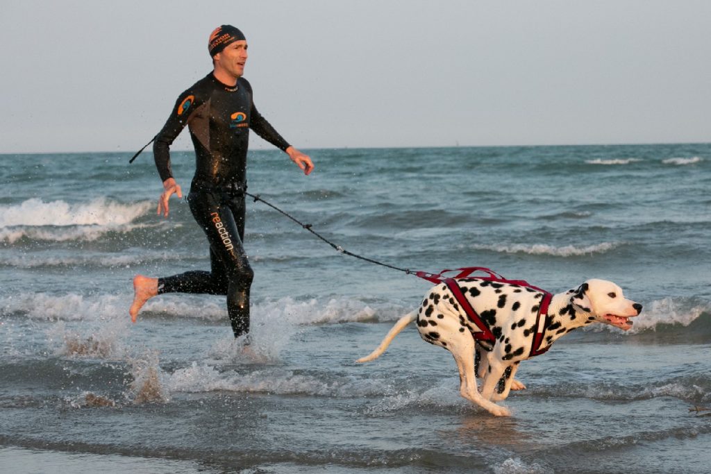 Dog Triathlon: nuotare, pedalare e correre col cane
