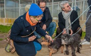 Susanna Tamaro: amo vivere con gli animali