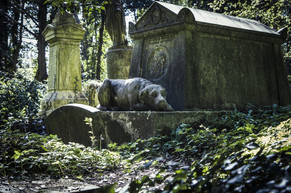 Alessandria, un ponte dell'arcobaleno nel cimitero degli animali