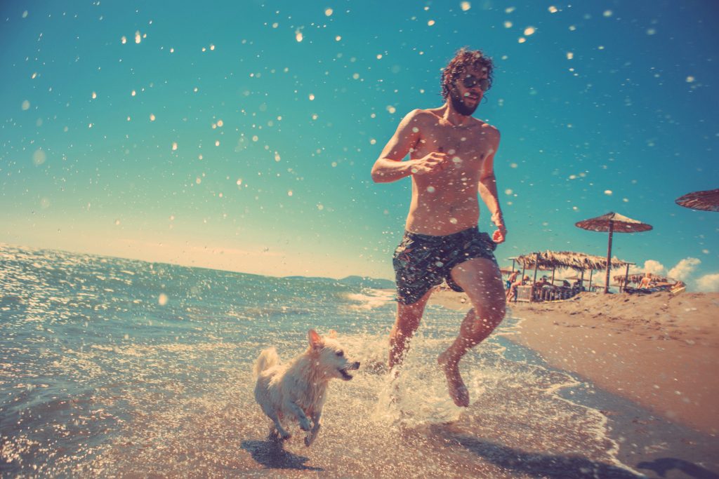 Roma, sì ai cani nelle spiagge (e a una Spa tutta per loro)