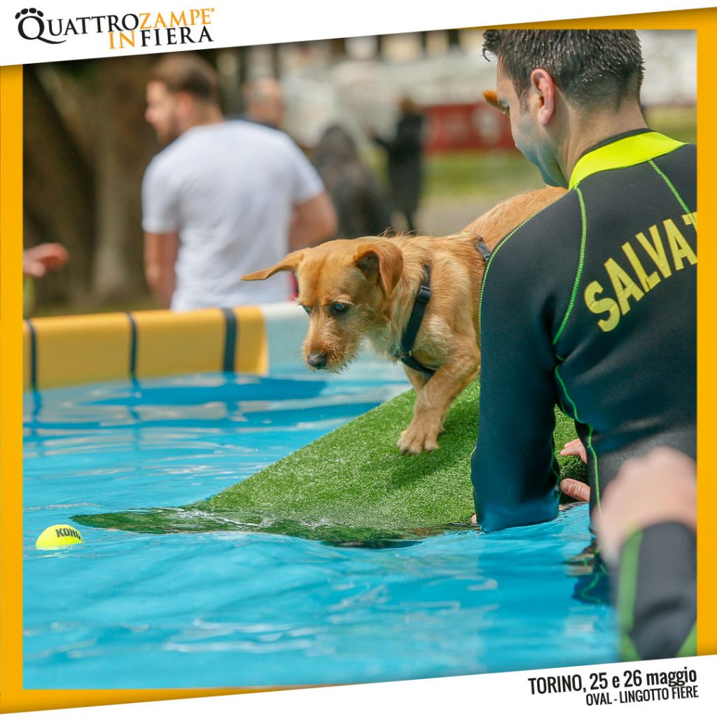 Attività gratuite Quattrozampeinfiera Torino - 25/26 Maggio 2019