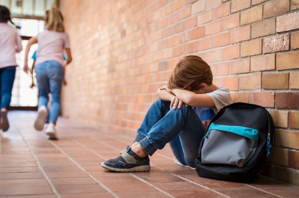 C'è un gatto in palestra: ucciso dal bidello davanti ai bimbi