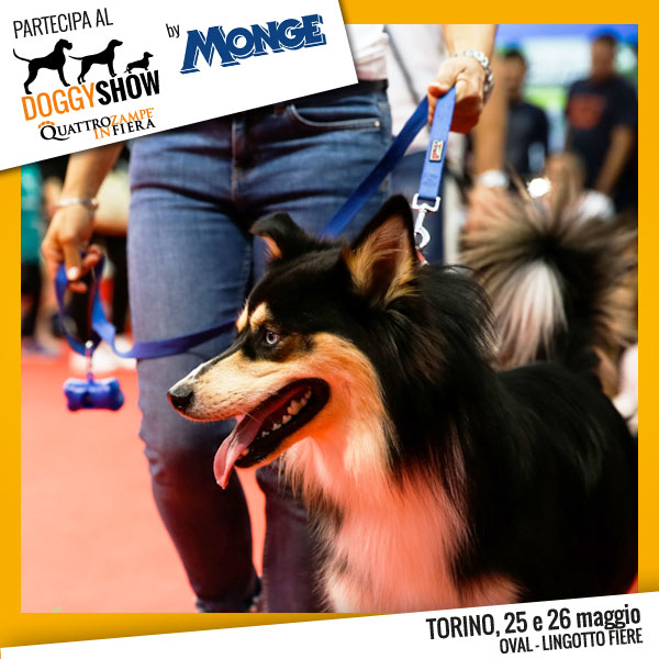 Quattrozampeinfiera Torino - 25/26 Maggio - Doggy Show