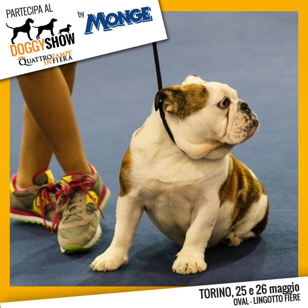 Quattrozampeinfiera Torino - 25/26 Maggio - Doggy Show