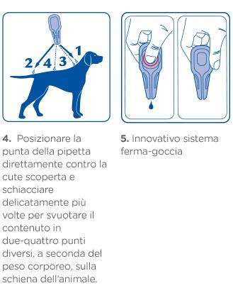 Cani e parassiti, la primavera è la stagione della prevenzione