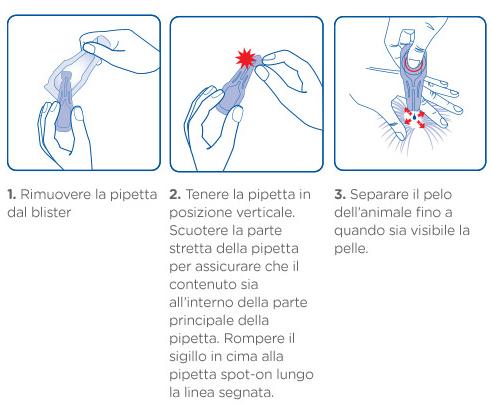 Cani e parassiti, la primavera è la stagione della prevenzione